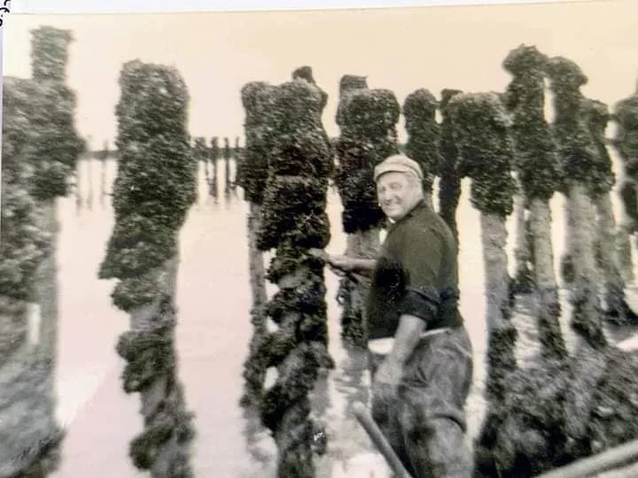 1ère génération Capmoules